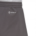 Vyriški Šortai Adidas Entrada 22 Pilka H57505